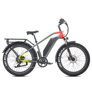 Rower elektryczny Jobobike Kepler