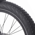 JOBOBIKE_Robin_tire.jpg