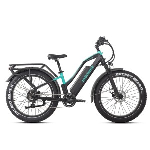 Rower elektryczny Jobobike Robin Pro czarno - niebieski ST