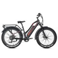 JOBOBIKE_fatbike_e-bike_Robin_st_Pro_eef91a49-3876-4714-bb87-13efea3dd159.jpg