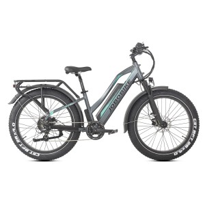 Rower elektryczny Jobobike Robin Pro szaro - zielony ST